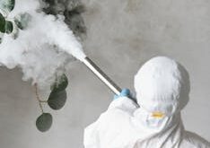 Person in protective gear fumigating an indoor plant, emitting smoke.